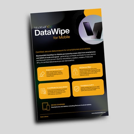 Datawipe for Mobile Flyer