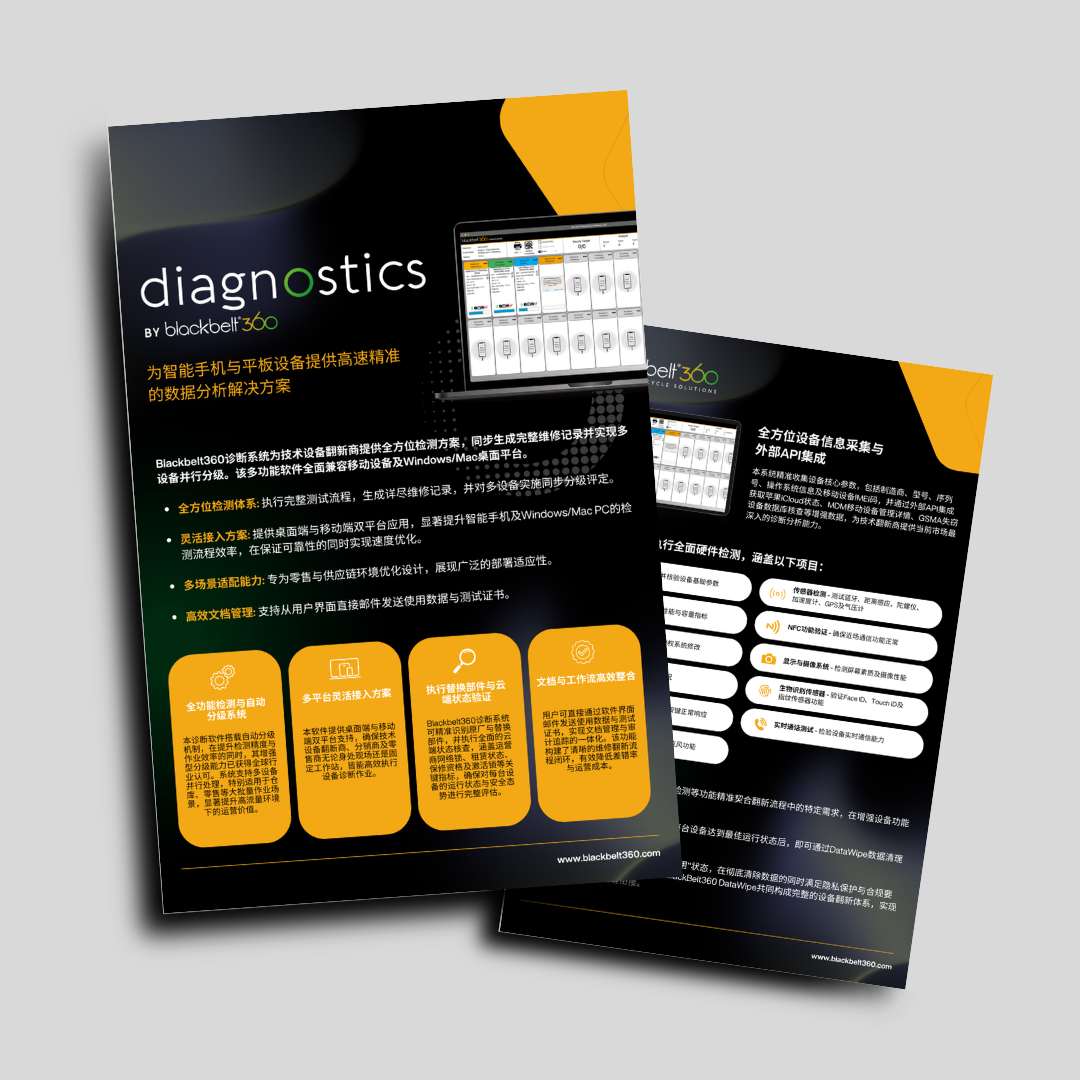 Diagnostics CHINESE